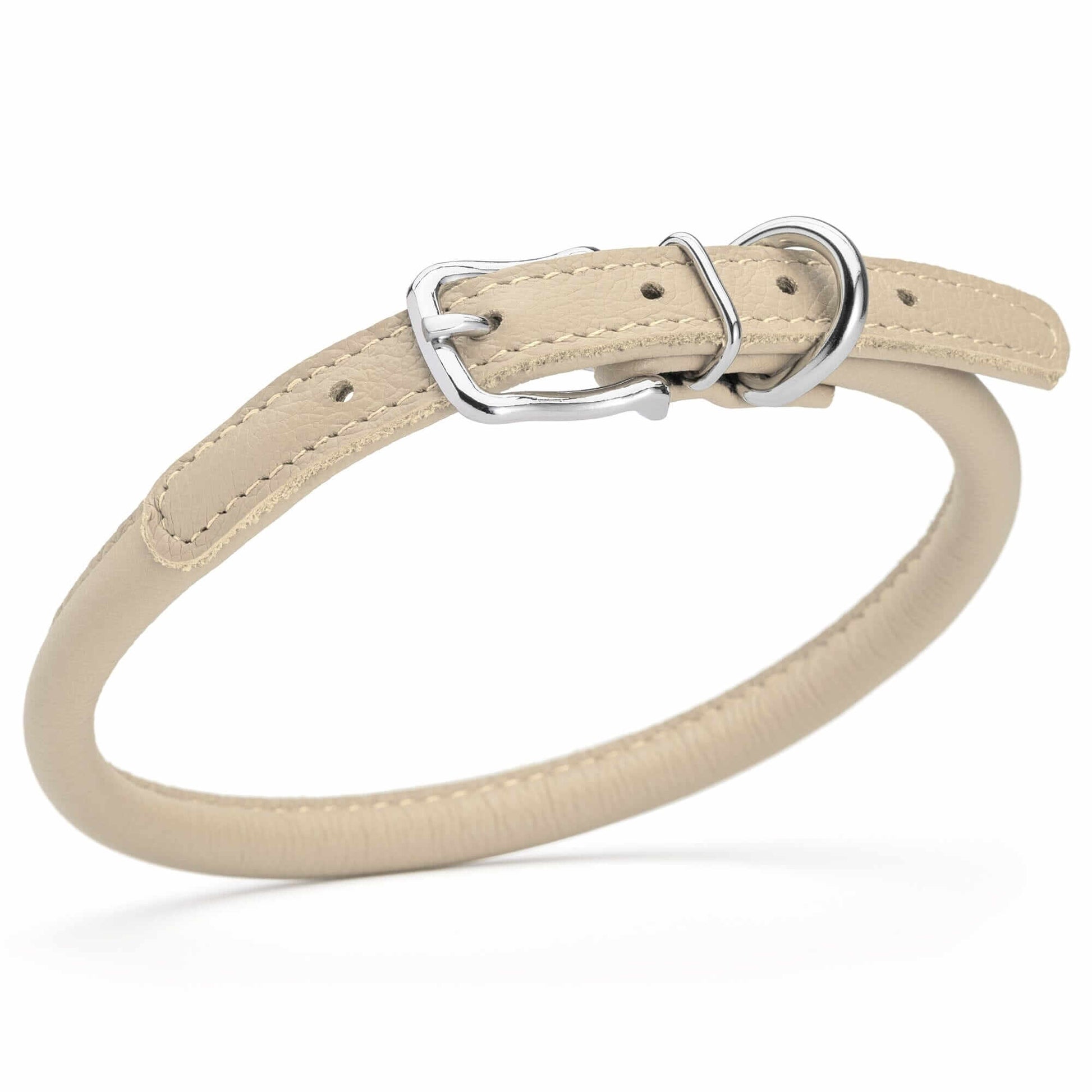 Dog wearing a white soft leather round collar sitting in the park with owner