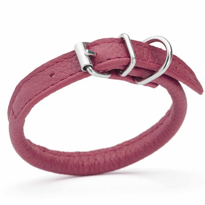 Dog wearing a white soft leather round collar sitting in the park with owner
