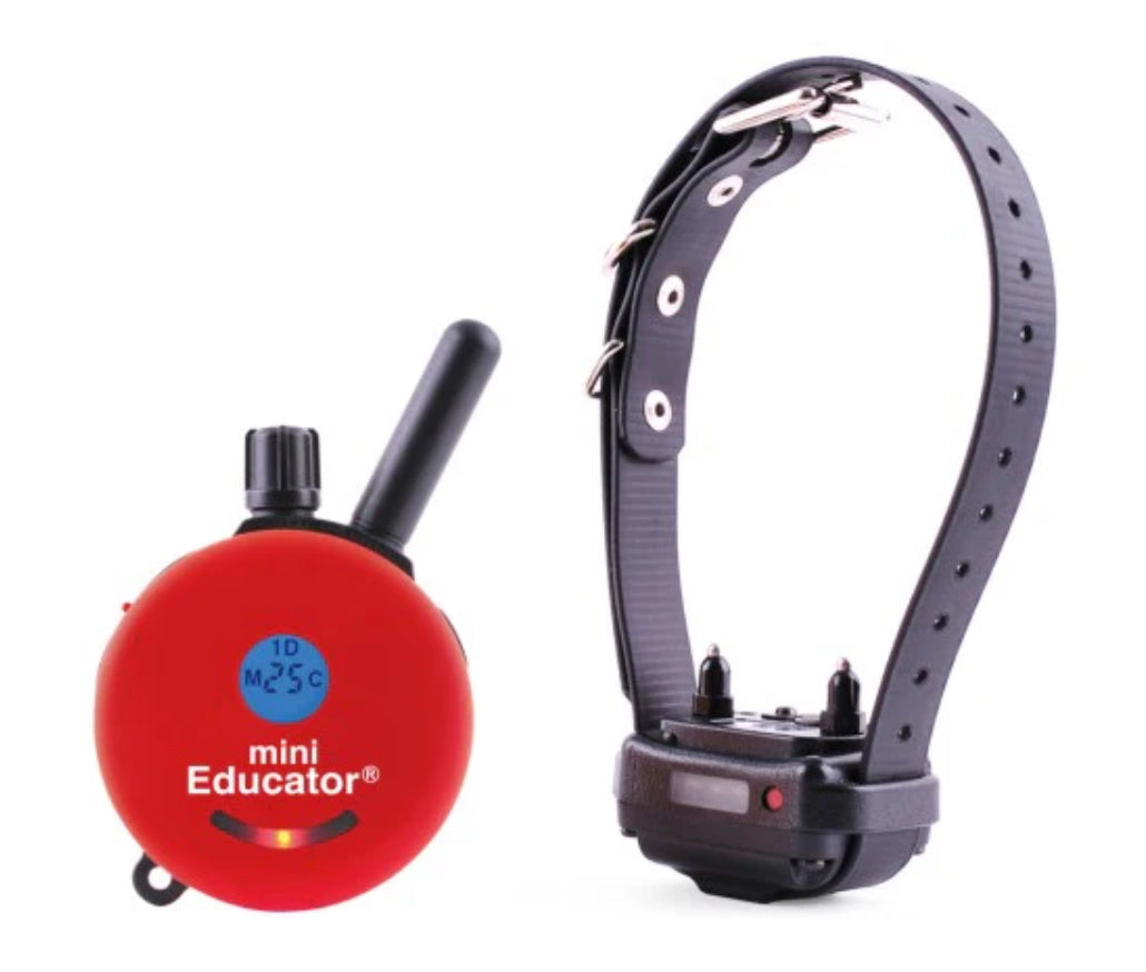 E-Collar ET-300 Mini Educator Remote Dog Trainer 1/2 Mile