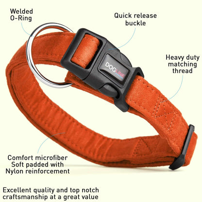 Comfort microfiber flat dog collar with soft padded lining and adjustable buckle for everyday wear