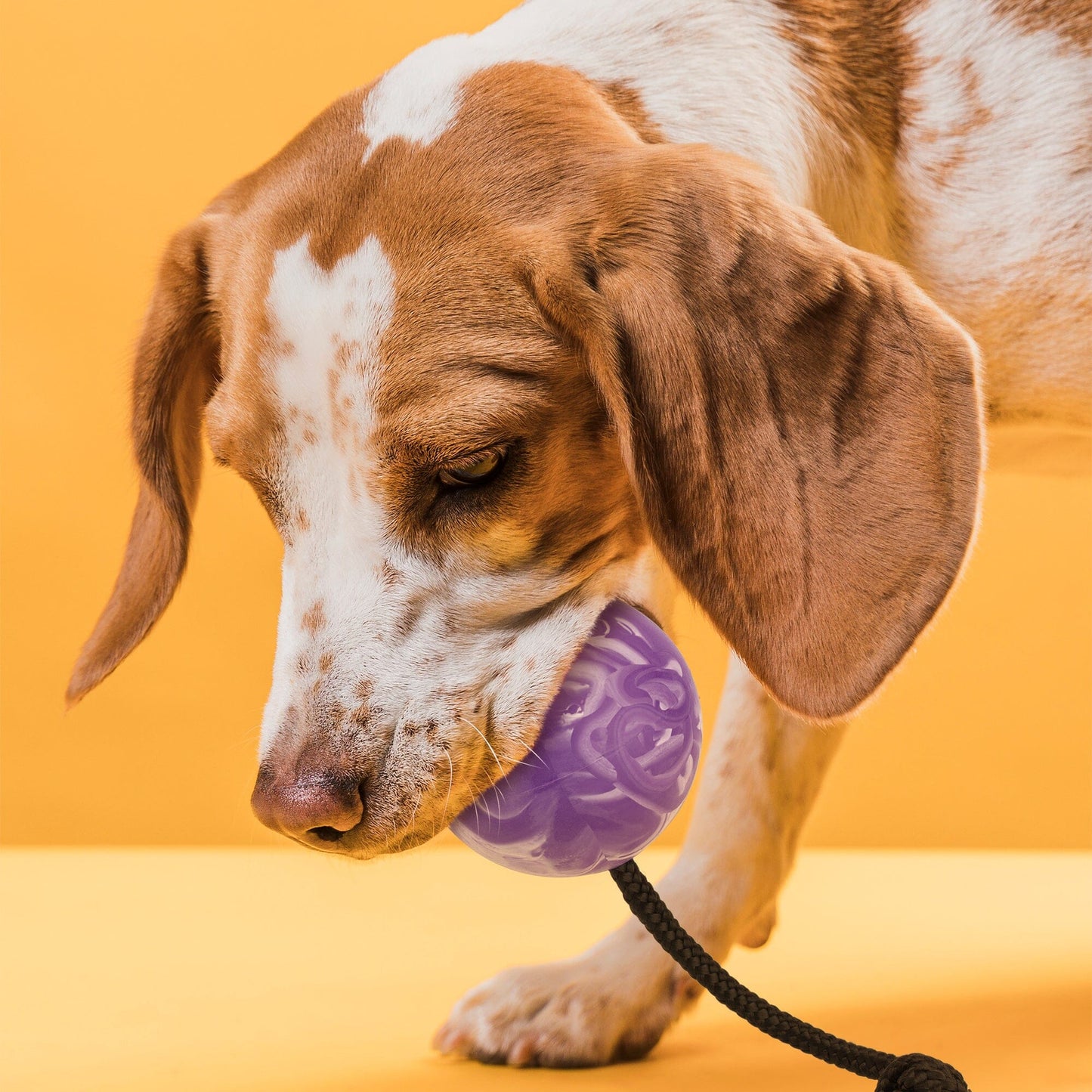 Rubber Euro Ball with Rope