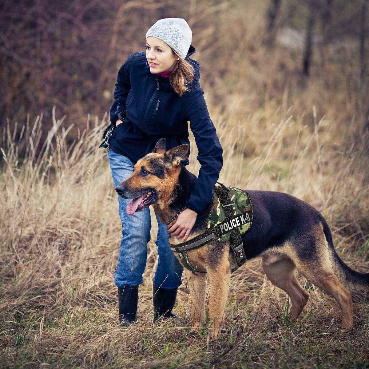 a dog wearing a Set of 2 removable reflective patches for dog collars or harnesses to enhance nighttime visibility and safety