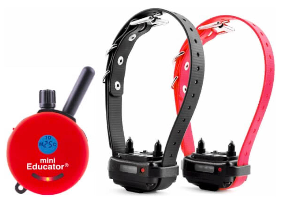 E-Collar ET-300 Mini Educator Remote Dog Trainer 1/2 Mile