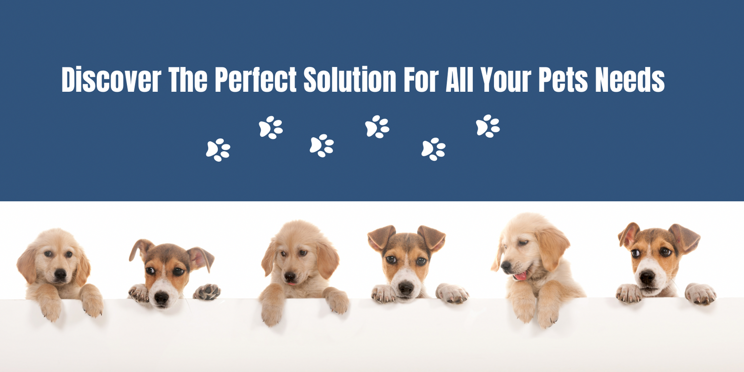 Blue Ridge K9 Supply