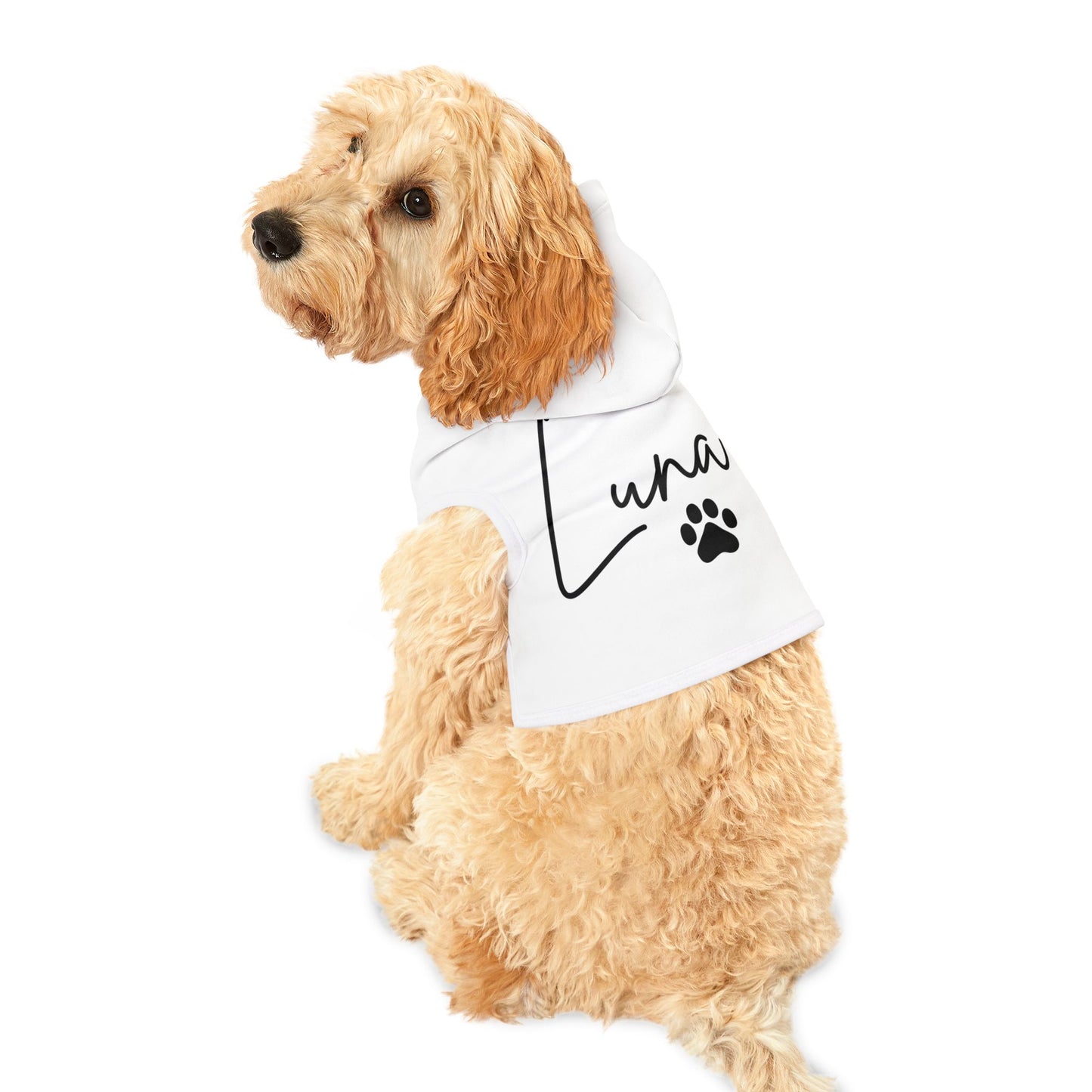 Personalized Dog Hoodie with Name – Custom Dog Sweatshirt with Free Personalization, Cute Pet Apparel for Small to Large Dogs