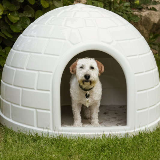 Dog House