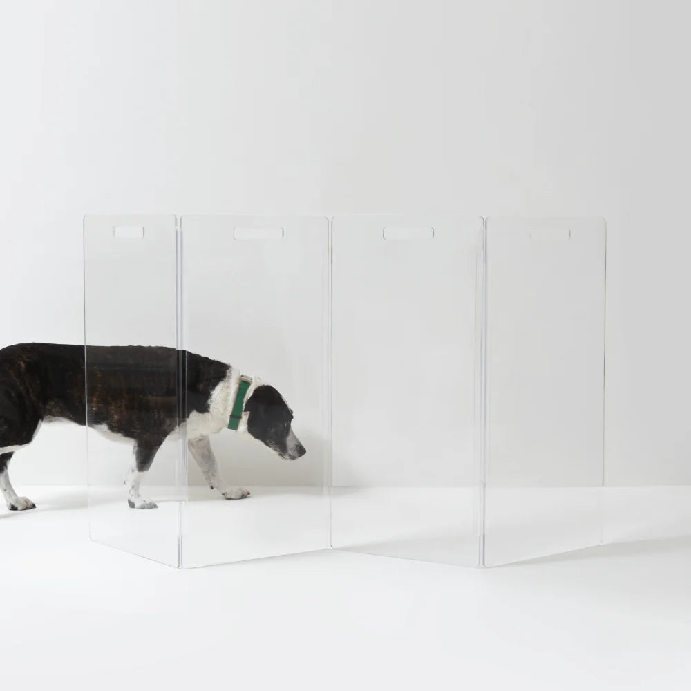 clear acrylic pet gate for dogs freestanding zig zag dog gate wide opening modern transparent indoor dog barrier home décor