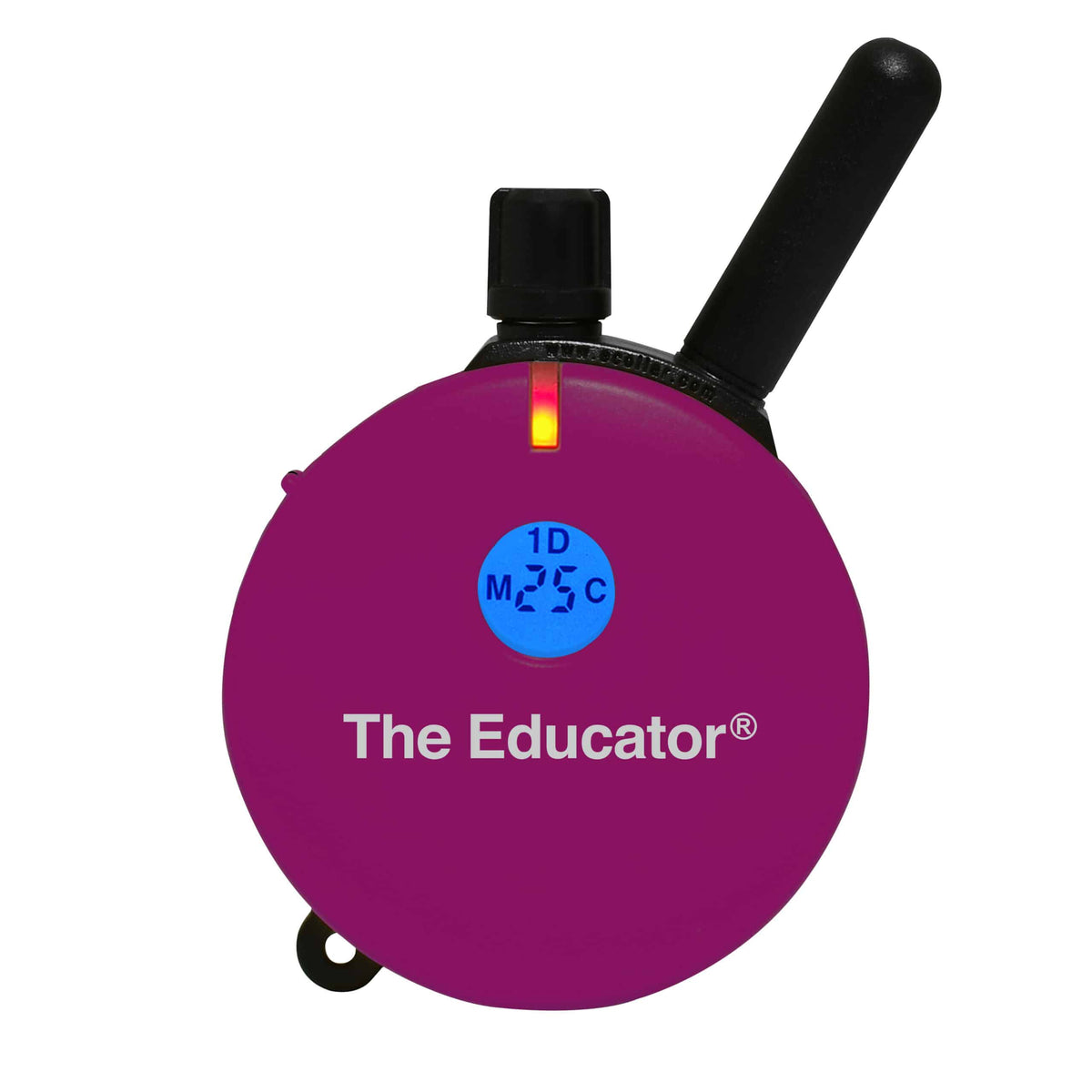 E-Collar ET-400 Educator Remote Dog Trainer 3/4 Mile - 2024-07-11-ET-400-Plum-Front-Skin_2-scaled