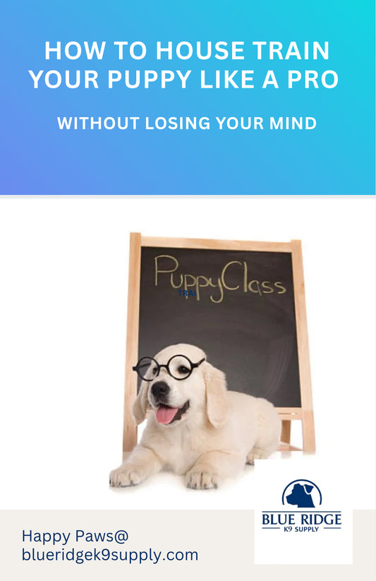 Potty Training 101: The Ultimate Dog Owner’s Guide