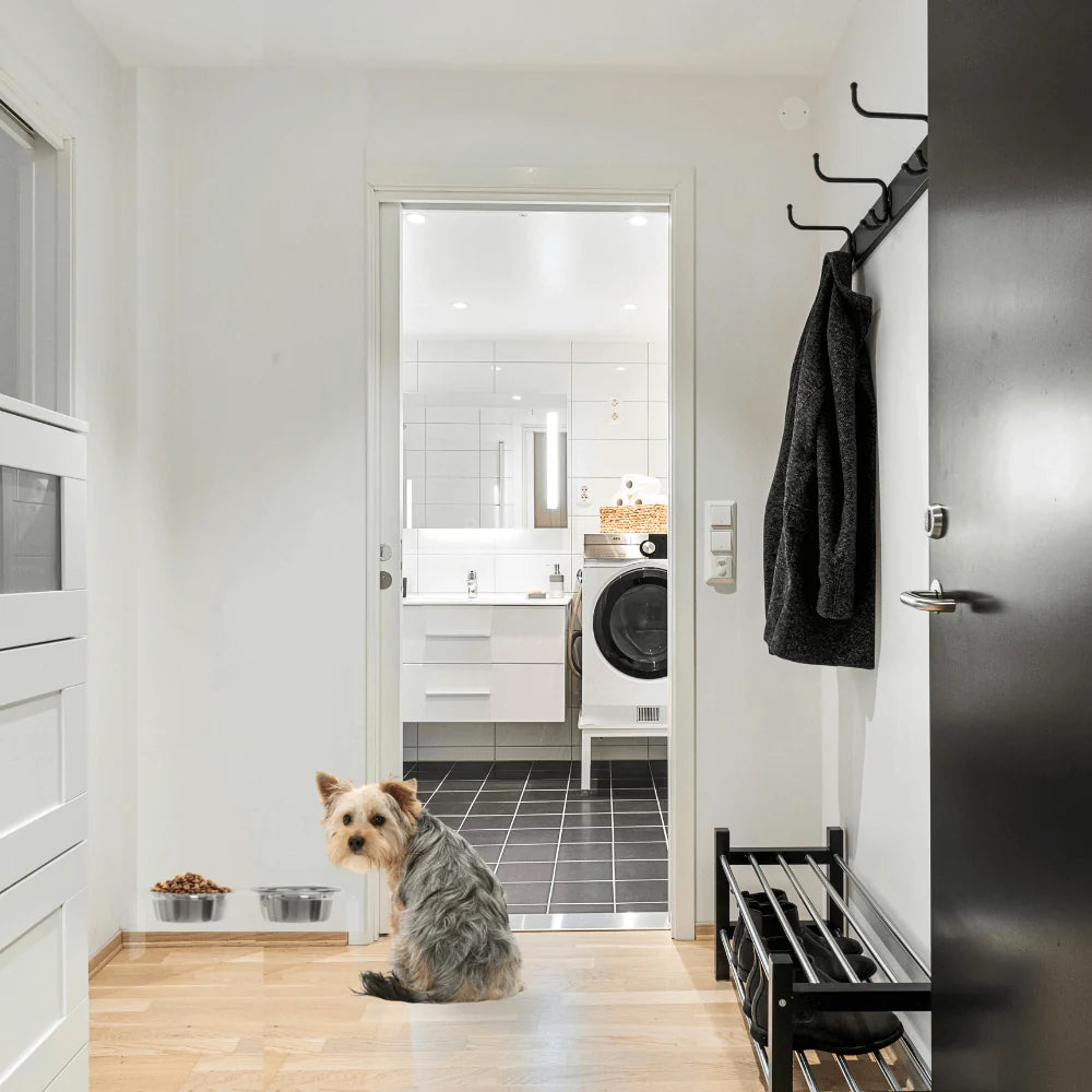 Hiddin Clear Acrylic Elevated Dog Feeder – Small Double Raised Dog Bowls with Stainless Steel Bowls