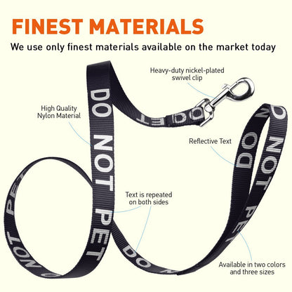 Reflective nylon dog leash with high-visibility stitching and durable hardware for safe nighttime walks"