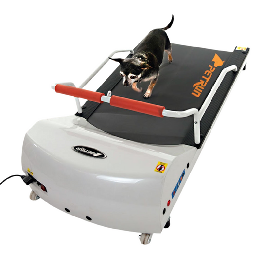 GoPet PetRun RP 700 Treadmill Small Dogs Up To 44 LBS