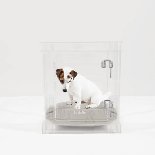 Clear Acrylic Dog Crate & Gate – Modern Lucite Dog Crate Furniture Side Table with Sliver Latch