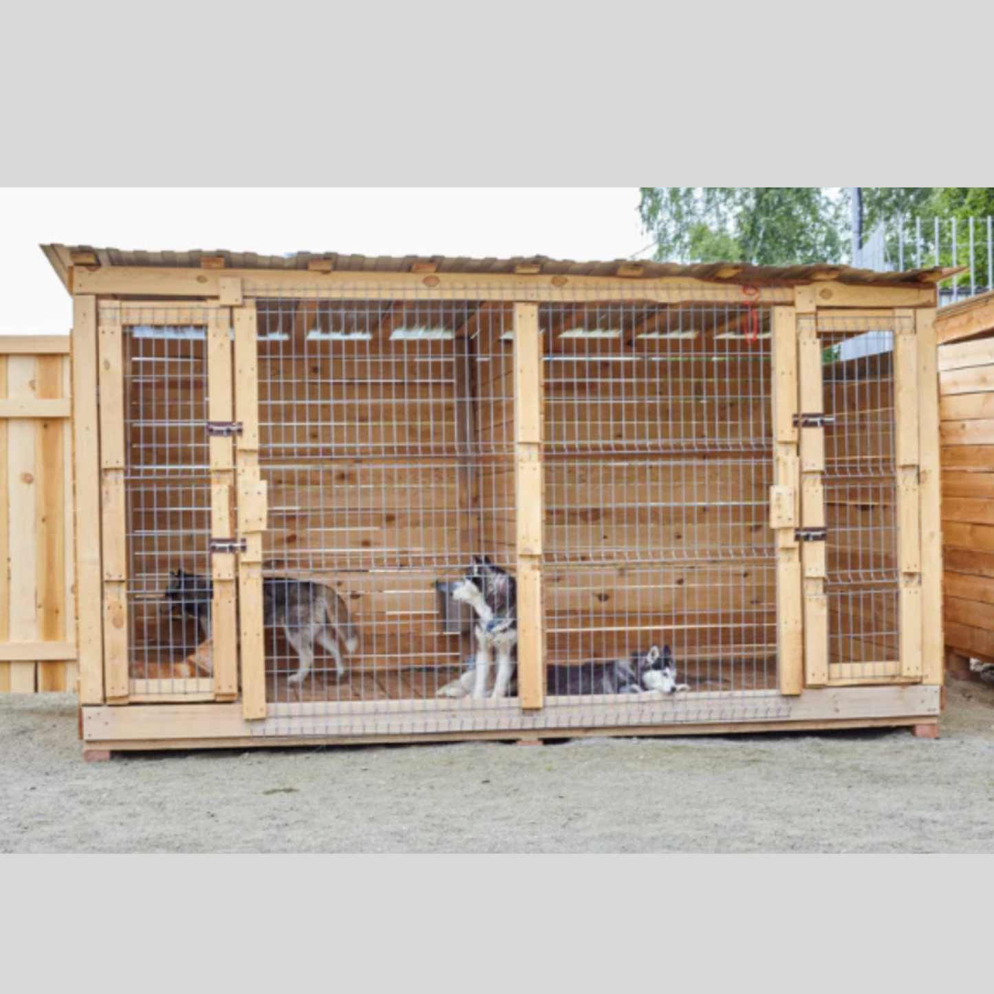 Kennel