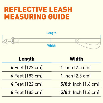 Reflective Nylon Leash
