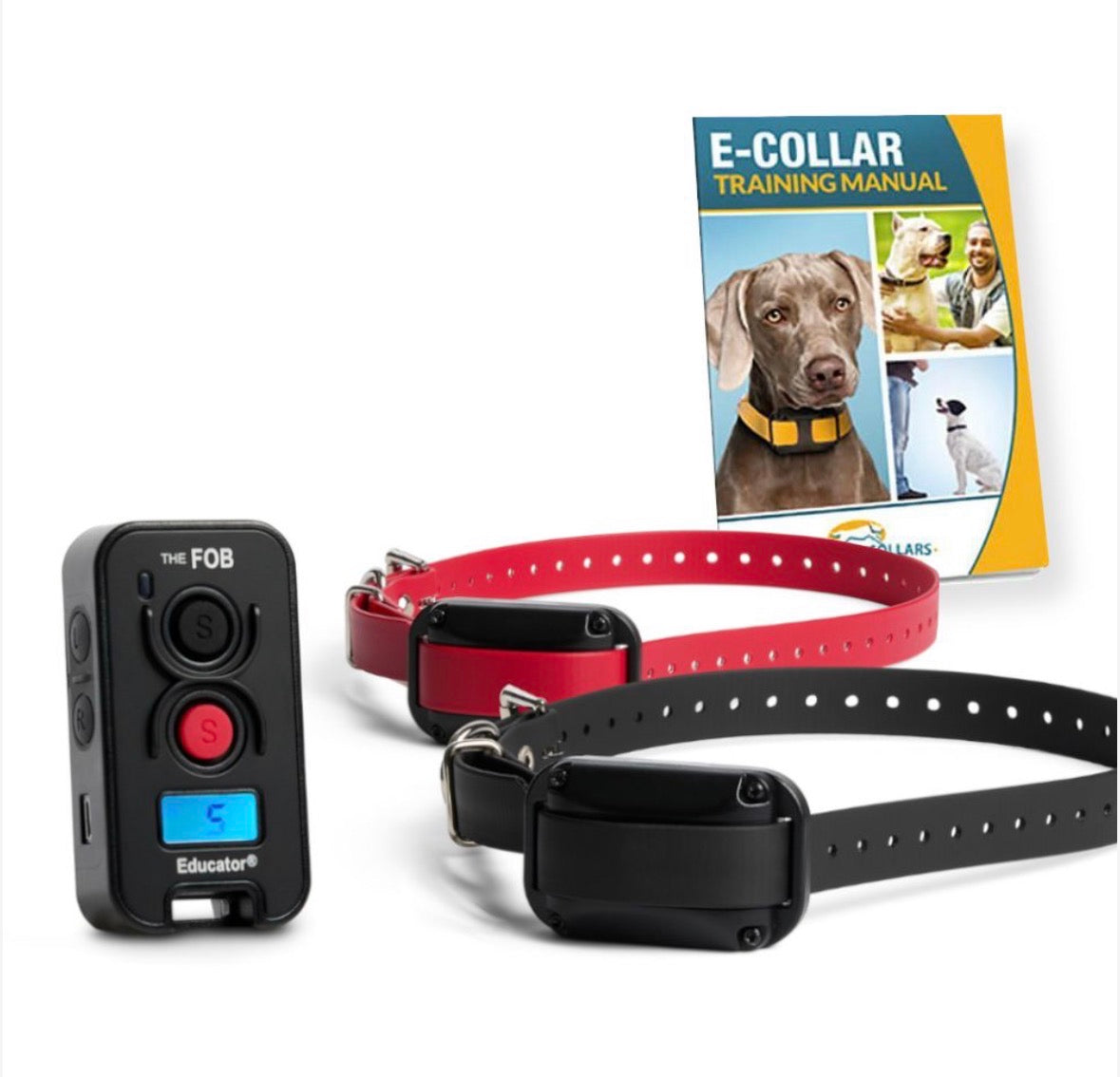 Educator FE-560 FOB Dog Training Collar | Vibration, Tone & Blunt Stimulation