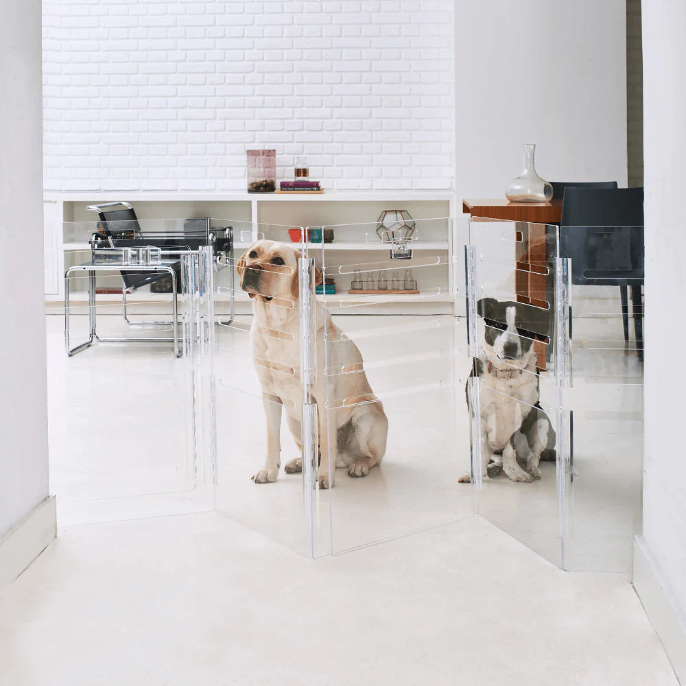 Clear Acrylic Dog Crate & Gate – Modern Lucite Dog Crate Furniture Side Table with Sliver Latch