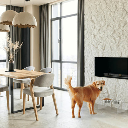 Medium Clear Acrylic Elevated Dog Feeder – Double Raised Dog Bowls with Stainless Steel Bowls