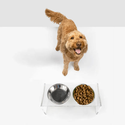 Medium Clear Acrylic Elevated Dog Feeder – Double Raised Dog Bowls with Stainless Steel Bowls