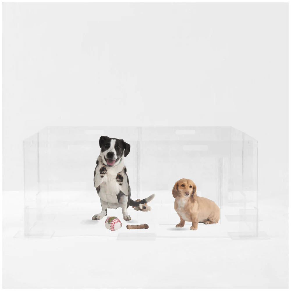 Clear Acrylic Dog Playpen 24” High – Modern Invisible Indoor Pet Pen