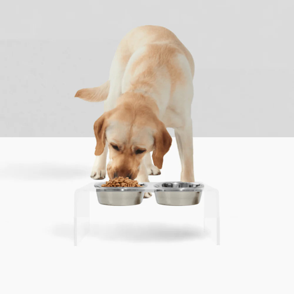 Medium Clear Acrylic Elevated Dog Feeder – Double Raised Dog Bowls with Stainless Steel Bowls