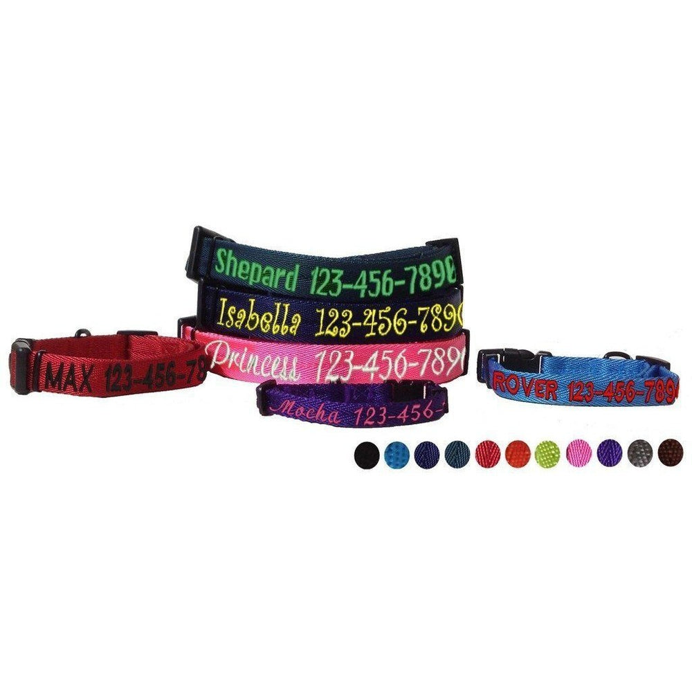 Nylon flat dog collar with adjustable buckle and durable hardware for everyday comfort and control