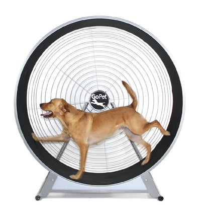 GoPet CS6020 Treadwheel For Medium-Large Dogs up to 150 lbs