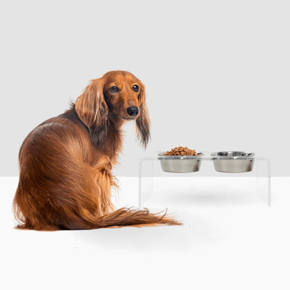 Medium Clear Acrylic Elevated Dog Feeder – Double Raised Dog Bowls with Stainless Steel Bowls