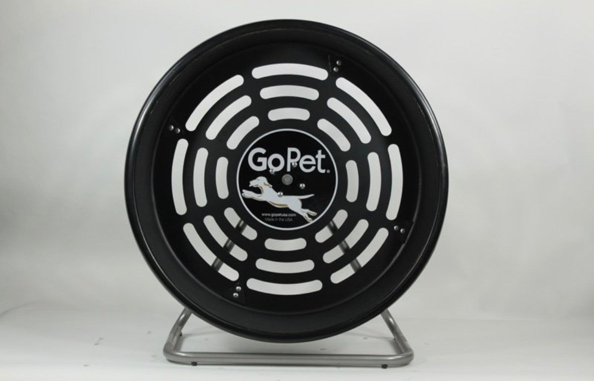 Self powered cat running wheel for indoor cats by GoPet CG4012