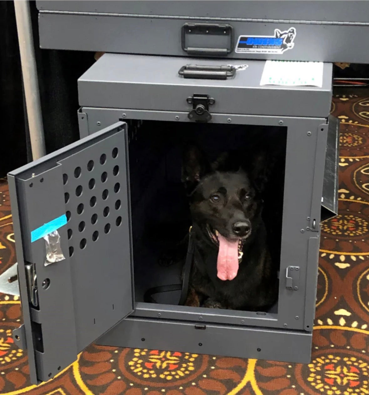 working dog resting inside professional k9 collapsible crate under office desk at workplace