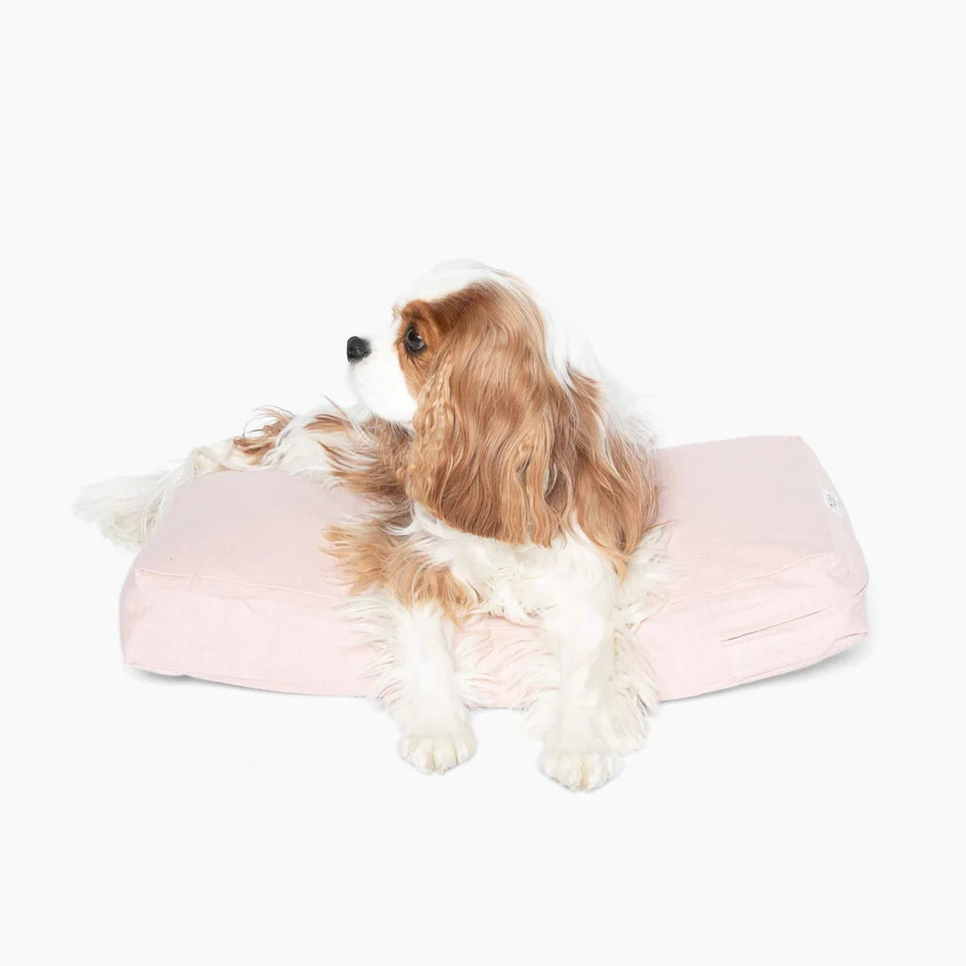 Hidden Pet Cushion Dog Bed – Luxury Cushion for Clear Acrylic Dog Crates