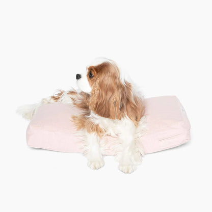 Hidden Pet Cushion Dog Bed – Luxury Cushion for Clear Acrylic Dog Crates