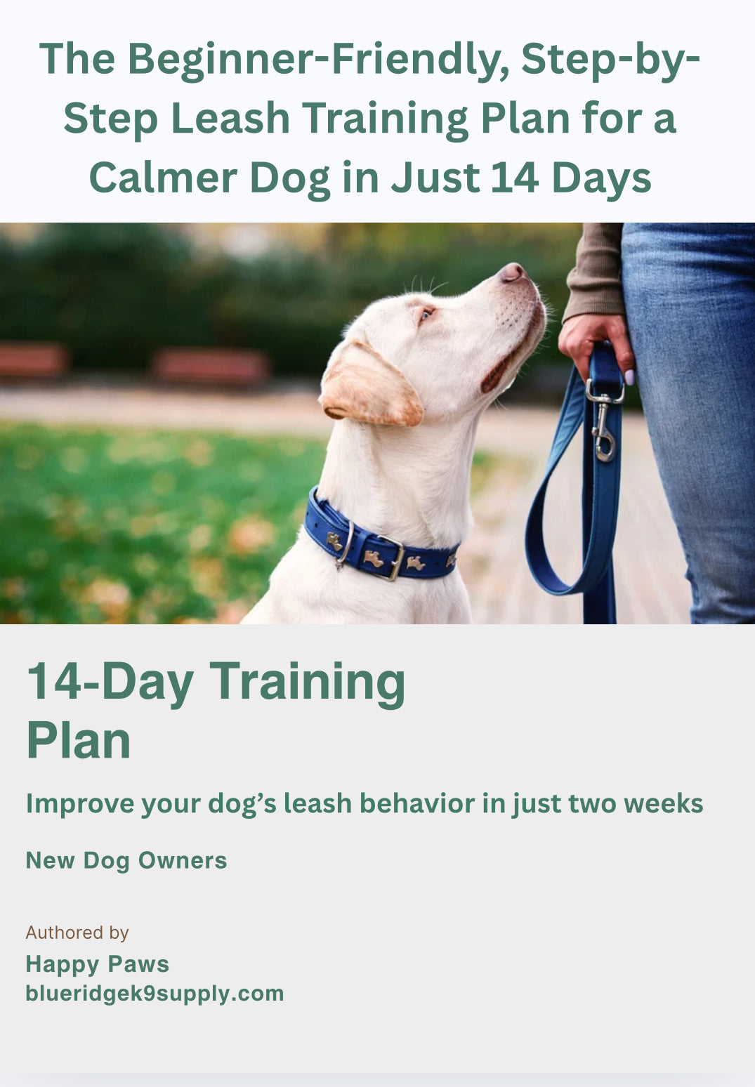 Leash Training Guide for Dogs & Puppies – Stop Pulling & Walk Calmly