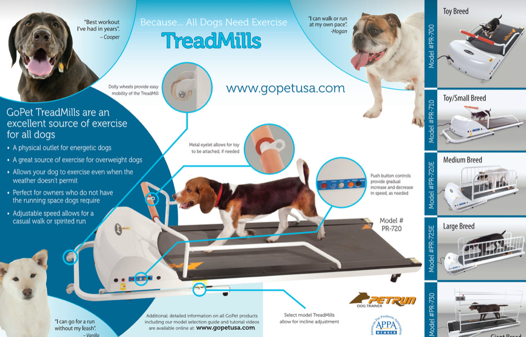 GoPet PetRun RP 700 Treadmill Small Dogs Up To 44 LBS