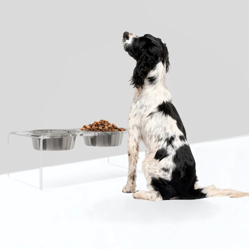 Medium Clear Acrylic Elevated Dog Feeder – Double Raised Dog Bowls with Stainless Steel Bowls