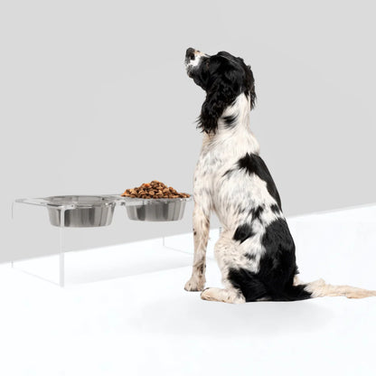 Medium Clear Acrylic Elevated Dog Feeder – Double Raised Dog Bowls with Stainless Steel Bowls