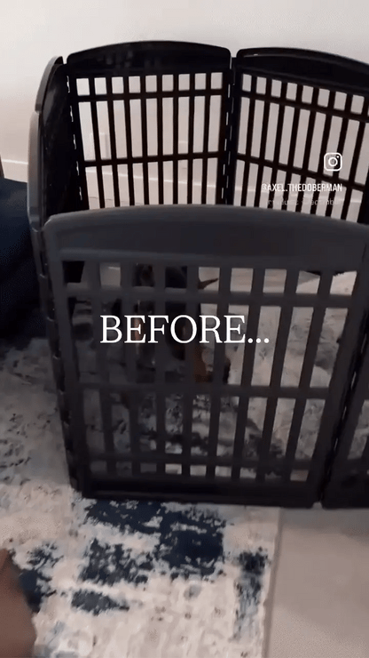 Clear Acrylic Dog Playpen 24” High – Modern Invisible Indoor Pet Pen