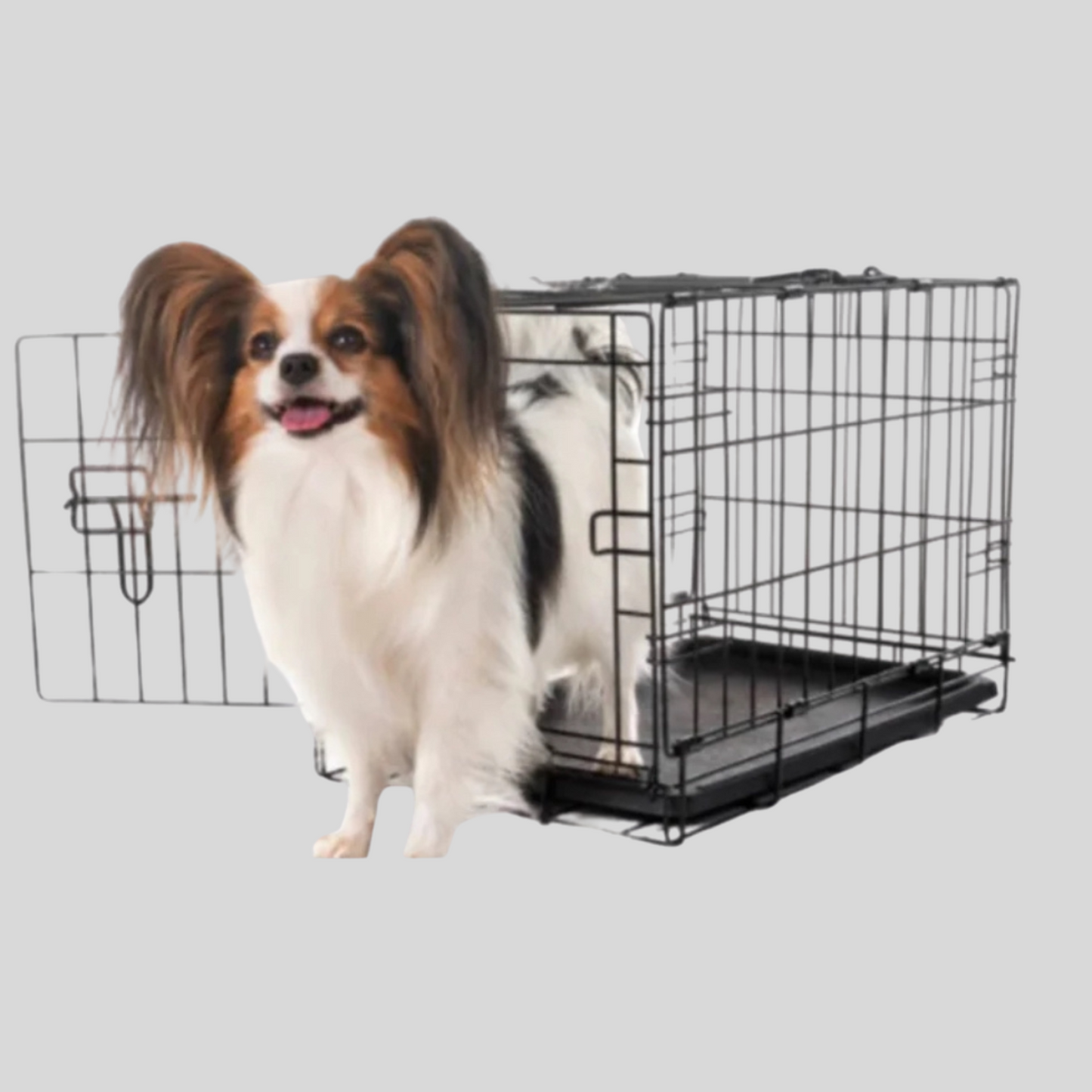 Wire Crate