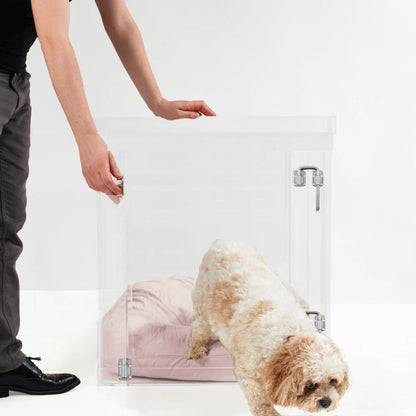 Clear Acrylic Dog Crate & Gate – Modern Lucite Dog Crate Furniture Side Table with Sliver Latch