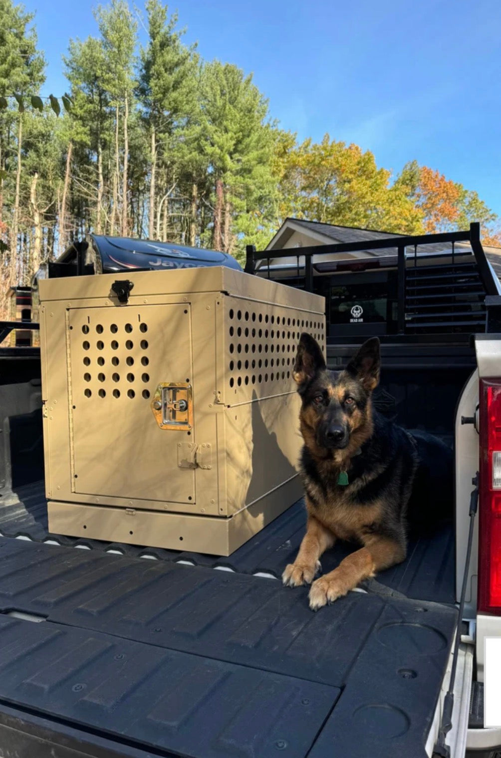 Working German Shepherd with heavy-duty aluminum K9 crate in pickup truck bed