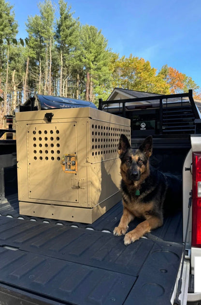 Working German Shepherd with heavy-duty aluminum K9 crate in pickup truck bed