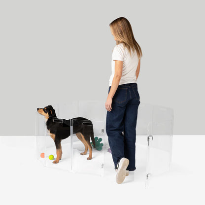 Woman standing next to a dog behind a transparent acrylic panel dog play pen 