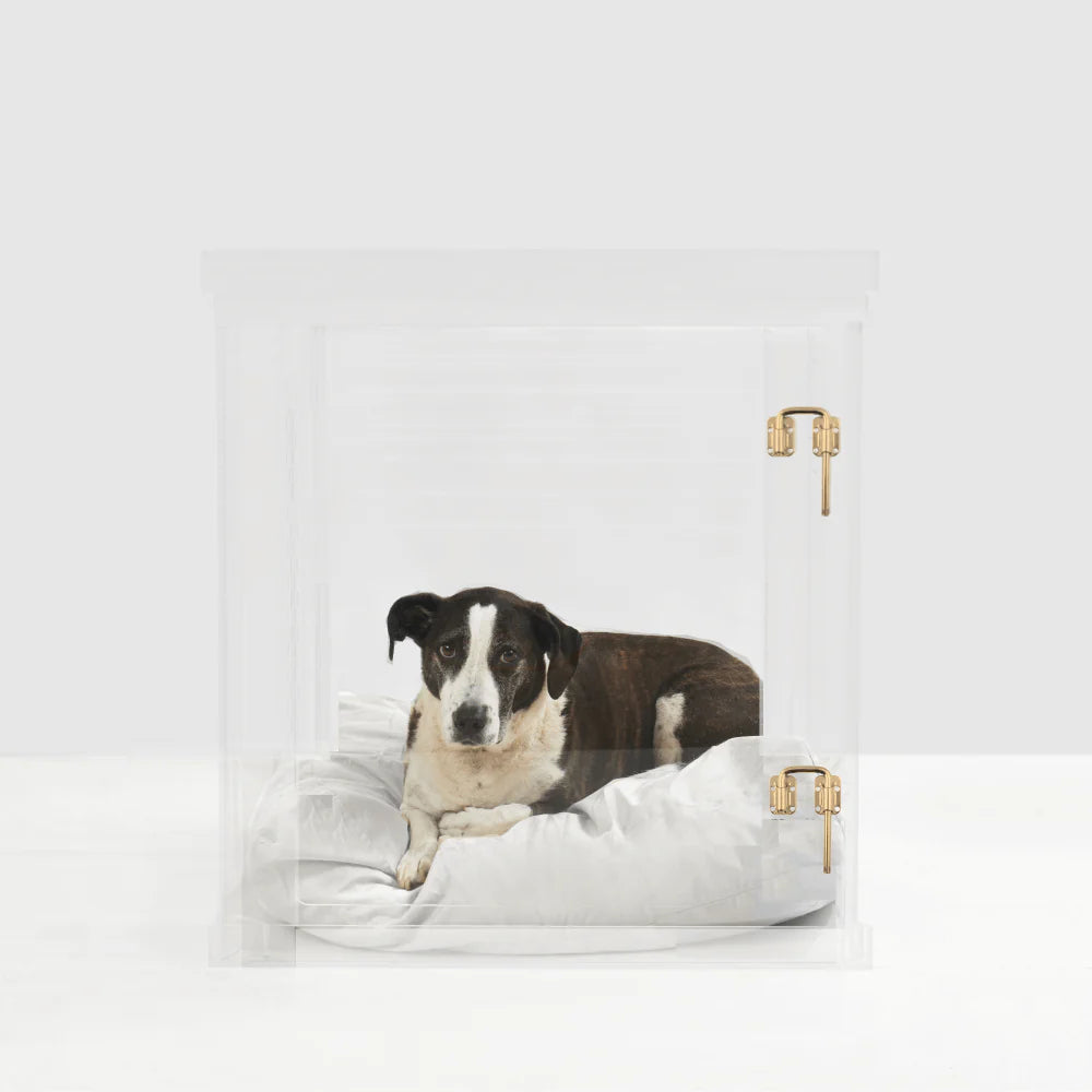 Clear Acrylic Dog Crate & Gate – Modern Lucite Dog Crate Furniture Side Table with Gold Latch