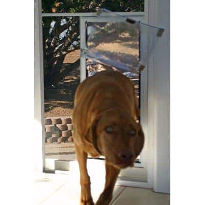 Dog coming through a Hale Pet Door for Screen Doors - flexible flap screen dog door in daily use