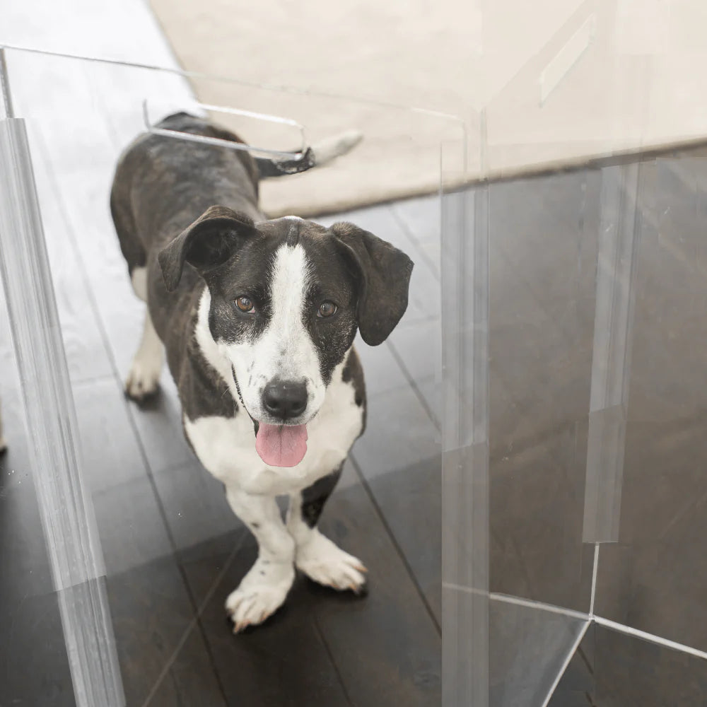 Hiddin Clear Acrylic Pet Gate Tall for Dogs (Freestanding Zig Zag) – Extra Wide Modern Transparent Dog Gate for Indoor Openings, No Drilling