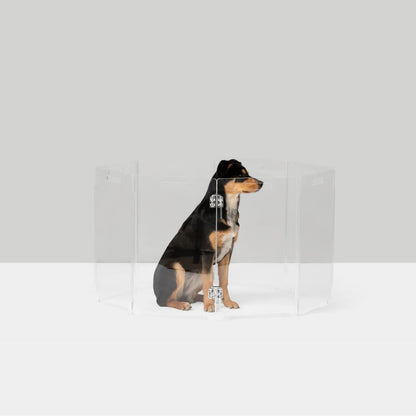 Clear Acrylic Pet Playpen – Round Modular Dog Playpen for Indoor Use with Door (Portable & Expandable)