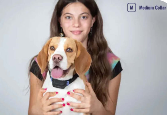 Girl bonding with her dog wearing a PetPace smart health monitoring dog collar