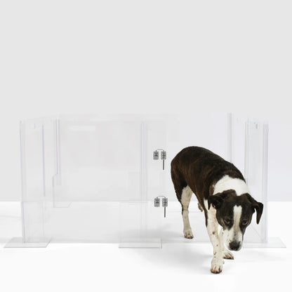 clear acrylic pet playpen 32 inch with door square indoor dog playpen expandable puppy enclosure modern design with dog walking out of