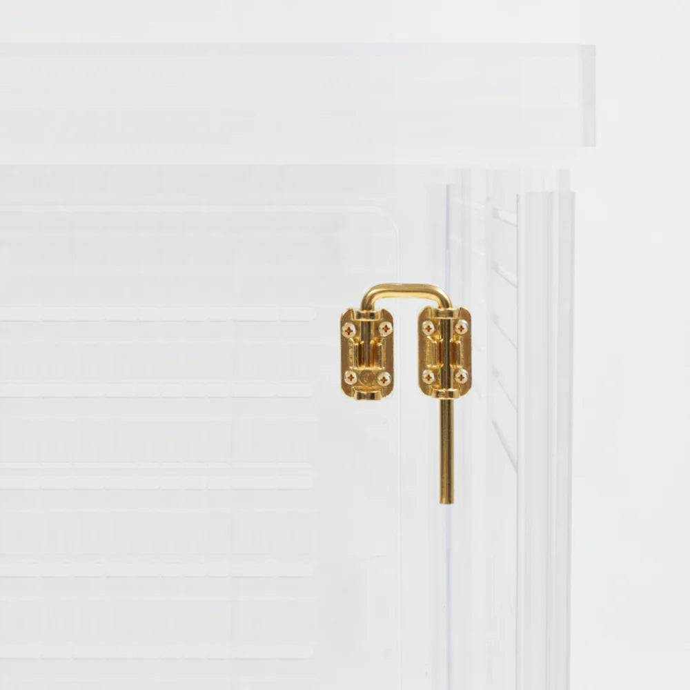 Clear Acrylic Dog Crate & Gate – Modern Lucite Dog Crate Furniture Side Table with Gold Latch