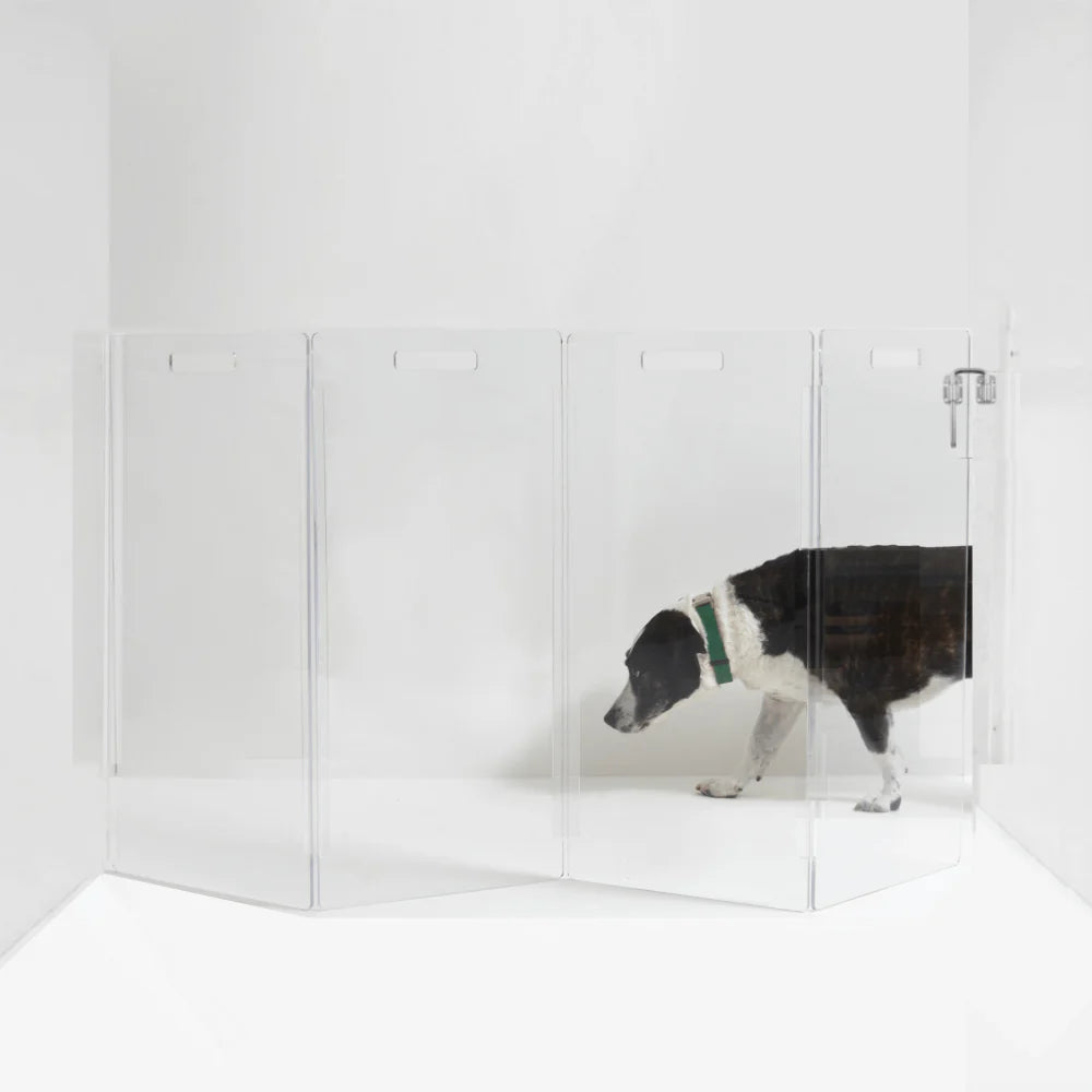 Hiddin Clear Pet Gate – Modern Acrylic Wall Mounted Lucite Zig Zag Dog Gate (Tall)